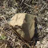 Un pezzo di dolium, tipico contenitore in terracotta di forma sferica in voga due millenni fa